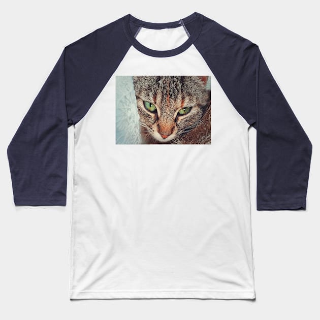 Closeup cat face Baseball T-Shirt by psychoshadow